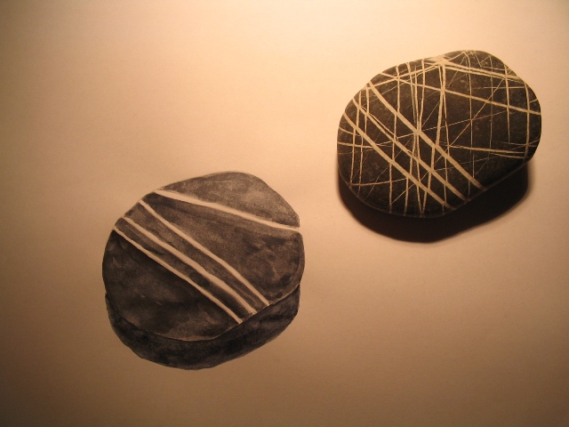 Disegno naturalistico 2Lezione